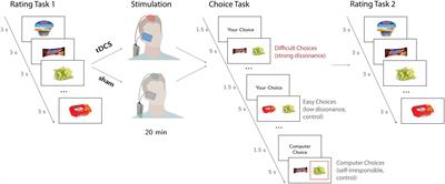 Neuromodulation of choice-induced preference changes: the tDCS study of cognitive dissonance
